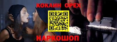 шишки Кандалакша