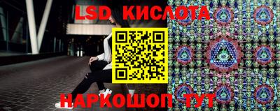 шишки Кандалакша