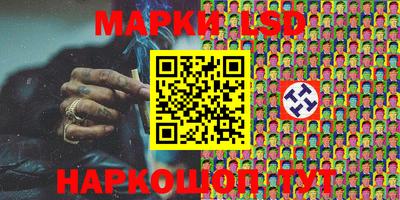 шишки Кандалакша
