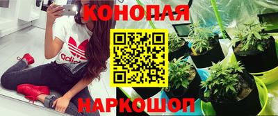 винт Канаш