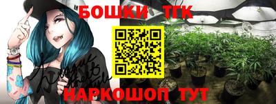 шишки Кандалакша