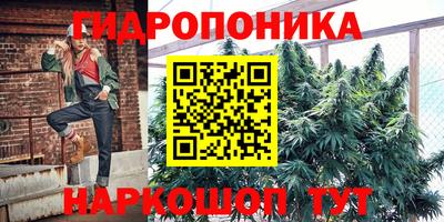 стафф Сертолово