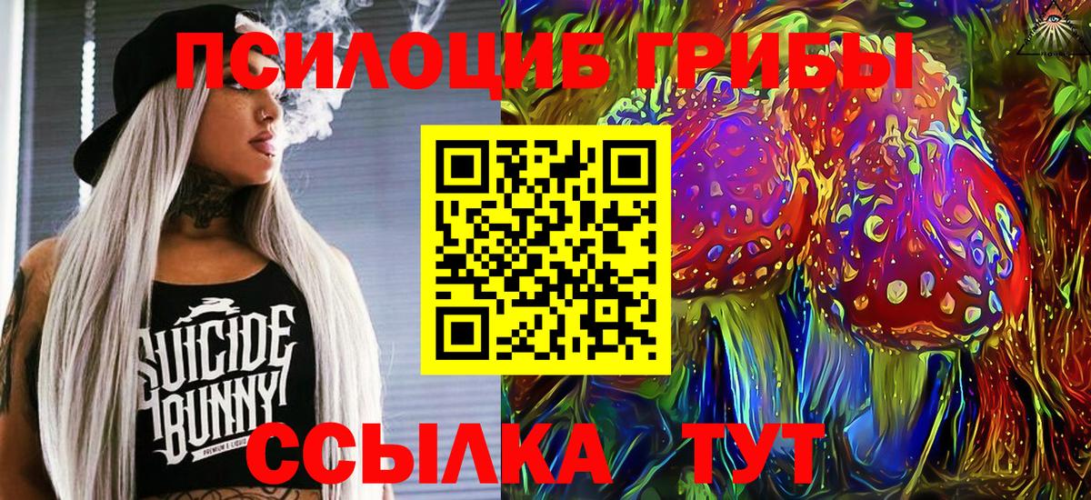 Галлюциногенные грибы Psilocybe  Вход с VPN  Псилоцибиновые грибы мицелий  Жуковский 