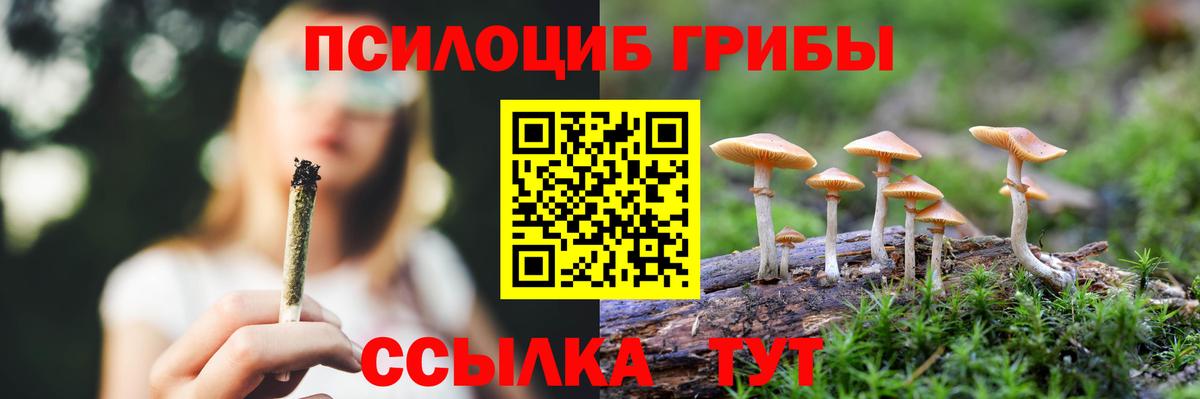 Псилоцибиновые грибы прущие грибы Жуковский