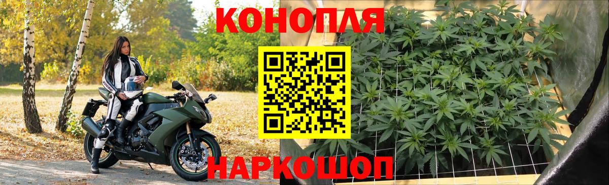 Жуковский  Бошки марихуана гибрид  Каннабис тримм  Вход с VPN 